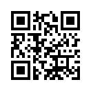 QR CODE 42