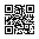 QR CODE 133