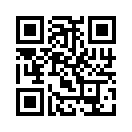 QR CODE 305