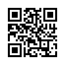 QR CODE 494