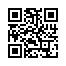 QR CODE 529