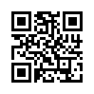 QR CODE 538