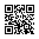 QR CODE 734