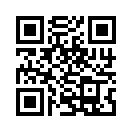 QR CODE 317