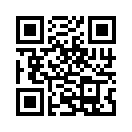 QR CODE 329