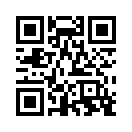 QR CODE 336