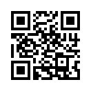 QR CODE 461