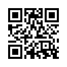 QR CODE 494