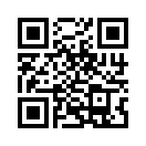 QR CODE 529