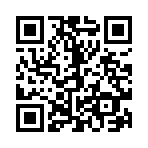 QR CODE 1337