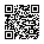 QR CODE 913