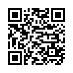 QR CODE 993