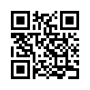 QR CODE 133