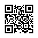 QR CODE 305