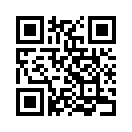 QR CODE 336