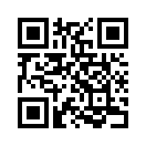 QR CODE 461