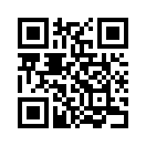 QR CODE 538