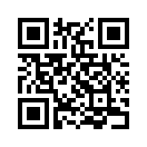 QR CODE 913