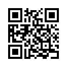 QR CODE 993