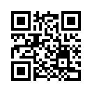 QR CODE 133