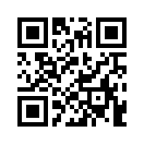QR CODE 31