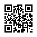 QR CODE 31