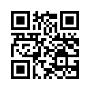 QR CODE 31