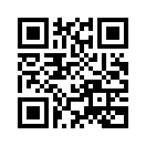 QR CODE 316