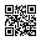 QR CODE 494