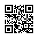 QR CODE 501