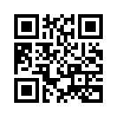 QR CODE 528