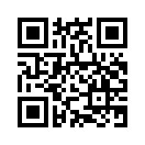 QR CODE 42