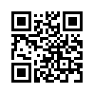 QR CODE 110