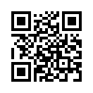 QR CODE 133