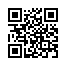 QR CODE 196