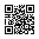 QR CODE 260