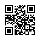 QR CODE 272