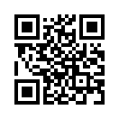 QR CODE 282