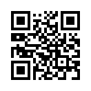 QR CODE 291