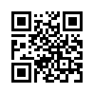 QR CODE 295