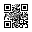 QR CODE 301