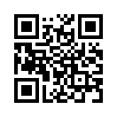 QR CODE 305