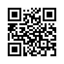 QR CODE 309