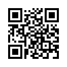 QR CODE 313