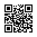 QR CODE 315