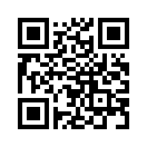 QR CODE 316