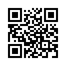 QR CODE 317