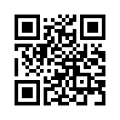 QR CODE 383