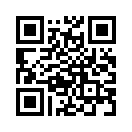 QR CODE 384