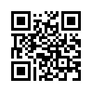 QR CODE 385
